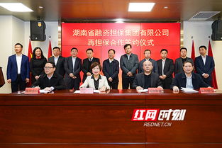 湖南省融资担保集团与9家融资担保机构合作签约
